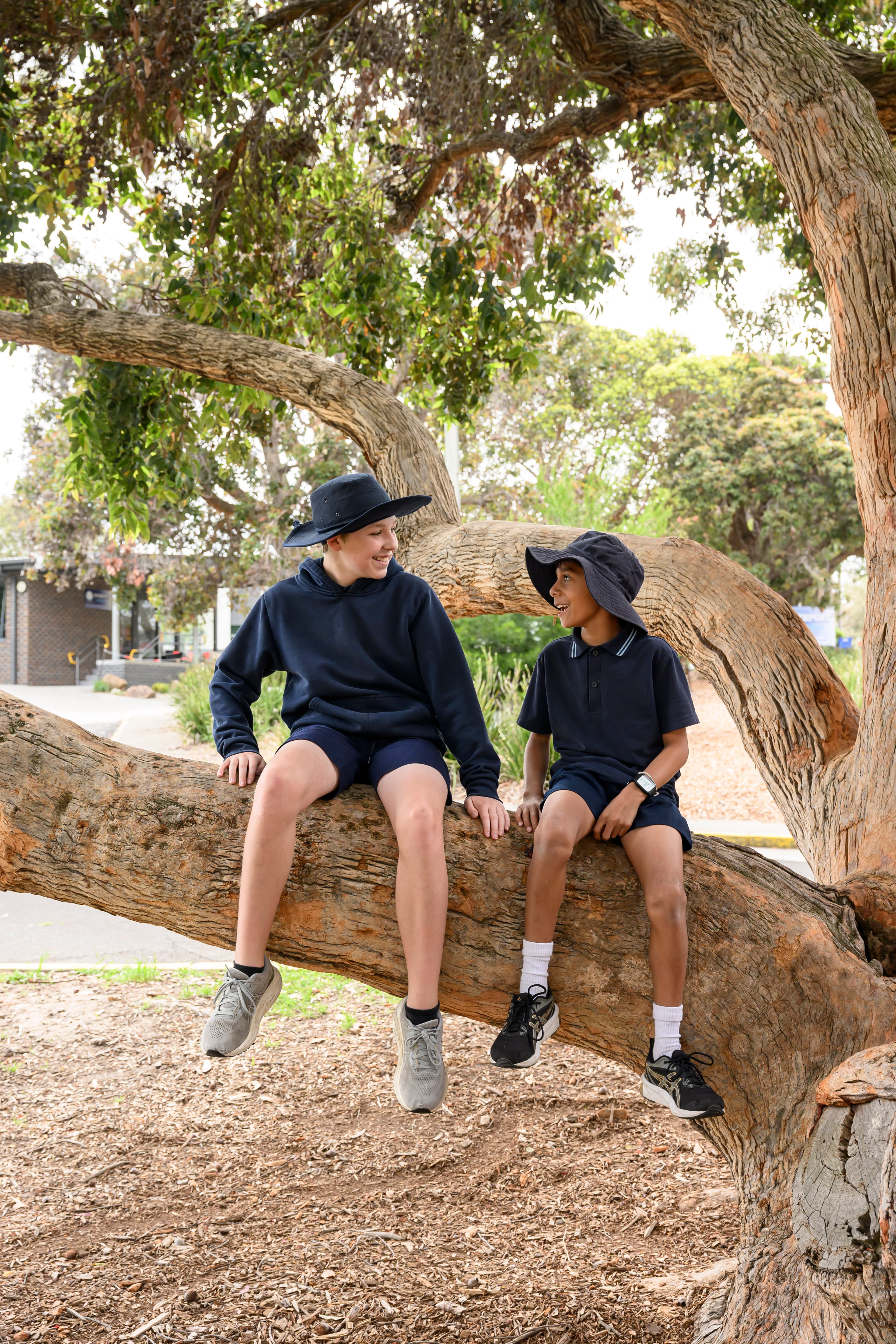 two school students sitting on a tree branch